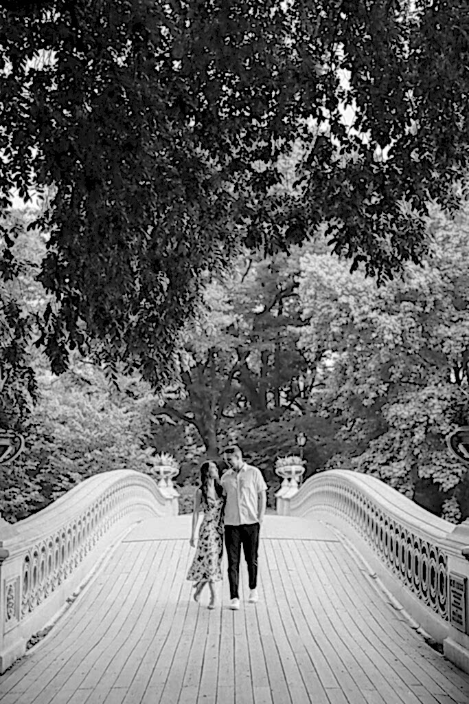 Central Park Engagement Photos