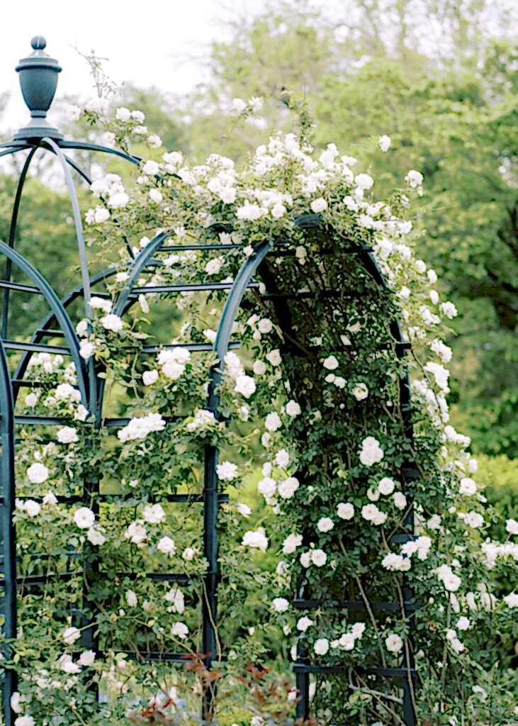 Fort Worth Botanic Garden wedding